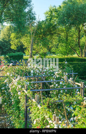 Orsan prieuré jardin, France : la Mary Garden, jardin clos planté de roses blanches et roses grimpantes (mention obligatoire du nom du jardin et pas de Banque D'Images