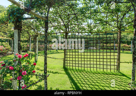 Orsan prieuré, France : le jardin verger trois cloître, fermée et espace rond planté en bordure de rosiers 'Rose gallique des sorcières ' (ob Banque D'Images