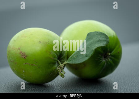 Close up of Green Indian Ber, Ziziphus mauritiana, également connu sous le nom chinois Date Banque D'Images