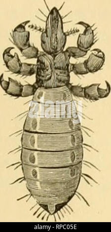 . L'agriculteur américain's pictorial cyclopedia de live stock ... L'élevage, la médecine vétérinaire. . Veuillez noter que ces images sont extraites de la page numérisée des images qui peuvent avoir été retouchées numériquement pour plus de lisibilité - coloration et l'aspect de ces illustrations ne peut pas parfaitement ressembler à l'œuvre originale.. Periam, Jonathan. [From old catalog] ; Baker, A. H. , [from old catalog] coauteur. Saint Louis, Mo. , N. D. Thompson &AMP ; co. Banque D'Images