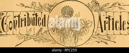 . American Bee Journal. La culture de l'abeille ; les abeilles. J*ab7a22etJ, hebdomadaire à 1,00 par anntim ^* Exemple de copie envoyée le Applioatlon, 36e année. CHICAGO, ILL., 4 juin 1896. No 23. fii(5£ nouveau genre d'Oueeu-Trap FiMdiug-reines. BT CH. DAVENPOKT. Comme mentionné dans mon dernier article, je vais décrire un piège que les prises d'une reine, mais n'empêche pas les drones de quitter ou de rentrer dans la ruche. Mais avant de le faire, peut-être il^v devrait être d'intérêt pour certains pour moi d'expliquer comment je suis arrivé à penser à faire cela. J'étais dans la cour un jour l'été dernier lorsqu'un essaim émis à partir d'une boîte-ruche. J'étais occupé à l'époque, et comme t Banque D'Images