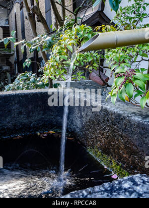 Une pipe du bambou se verse de l'eau de trop-plein d'une eau de source chaude japonaise sur le côté de l'Oyama, une montagne à Isehara, préfecture de Kanagawa, Japon Banque D'Images