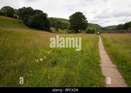 Prairie avec couronnement sentier marqué Muker Swaledale Yokshire Yorkshire Dales National Park England UK Juillet 2016 Banque D'Images