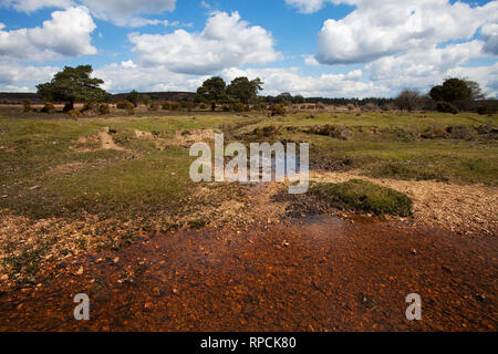 Latchmore Brook à restaurer et Latchmore Latchmore Mire en bas du parc national New Forest Hampshire England UK Avril 2016 Banque D'Images