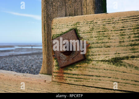 En bois nouveau épi avec des boulons en acier rouillé, algues vertes commence à croître sur des planches de bois, et d'après l'érosion des plages, la protection de cleveleys lancashire uk Banque D'Images