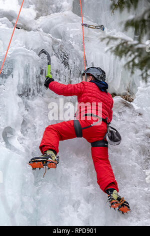 Munising, Michigan - Un garçon monte dans un mur de glace au cours de l'assemblée annuelle de glace : le Michigan. Les participants ont grimpé dans des formations de glace Pictured Rocks Nation Banque D'Images