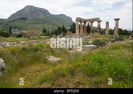 Temple d'Apollon, l'ancienne Corinthe, le Péloponnèse, Grèce Banque D'Images