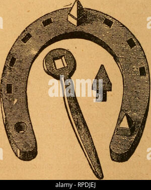 . L'American Farm et stock manuel. L'agriculture, l'économie domestique. ilG. 1.. . HOBSESHOE-FIG. 2.. Veuillez noter que ces images sont extraites de la page numérisée des images qui peuvent avoir été retouchées numériquement pour plus de lisibilité - coloration et l'aspect de ces illustrations ne peut pas parfaitement ressembler à l'œuvre originale.. Lupton, F. M. (Frank M. ), 1854-1910. Springfield, Massachusetts , Le Phelps Publishing Co. Banque D'Images