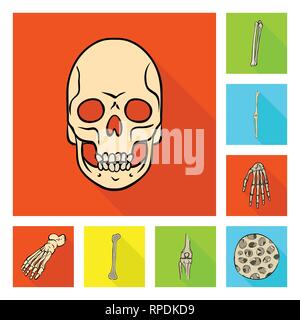 Crâne,fémur genou,poignet,pieds,fibres,mort,,joints,vente,cheville,osseuses,sain,l'enfer,calcium,cartilage,dommage,mouvement,tissu,les dents,chirurgie,motion,pieds nus,la douleur,structure,monster,jambe,ménisque,scientifique,os,squelette humain,anatomie organes,médical,médecine,clinique,biologie,,set,icône,,illustration,collection,isolé,design,graphisme,élément signe,télévision,ombre,vecteurs vecteur , Illustration de Vecteur