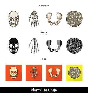 Crâne,poignet,ostéoporose de la hanche,la mort,main,,joints,cell,monster,bassin,calcium,tissus,le mal,chirurgie,structure,horreur,conjonctif,sain,bras,tatouage,cartilage,carpe,fémur,santé,tête,l'appareil locomoteur,eye,joints,rx,system,l'enfer,médecine, biologie médicale,clinique,os,squelette,anatomie,des,organes,,set,icône,,illustration,collection,isolé,design,graphisme,élément vecteur vecteurs,signer , Illustration de Vecteur