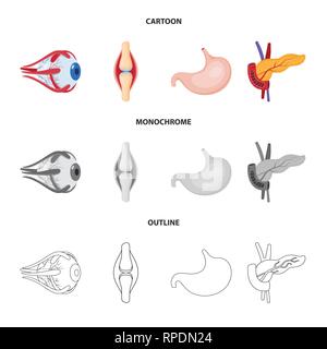 Globe oculaire,Estomac Pancréas,os,oeil,tendon,digestive endocrine,,,cornée,gastrique diabète,ligament,,couches,dommage,la douleur musculaire,structure,body,vue,cancer,moelle,Protection,joints,estomac,cartilage,alimentaire,acide,traitement,tumeur ache,biologie,scientifique,recherche,,laboratoire anatomie,organe interne,,médical,des,santé,,set,icône,,illustration,collection,isolé,design,graphisme,élément vecteur vecteurs,signer , Illustration de Vecteur