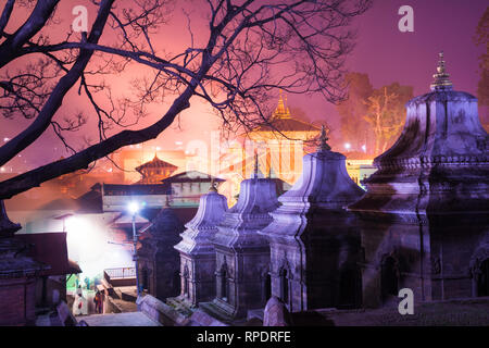 Pashupatinath temple hindou à la lumière la nuit, temples et sanctuaires votifs dans une rangée au temple de Pashupatinath Kathmandou au Népal. Banque D'Images