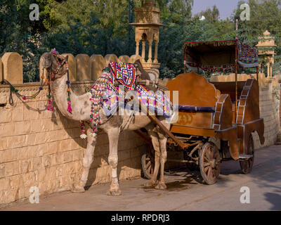 Calèche de chameau, en bordure du lac Gadsisar, Jaisalmer, Rajasthan, India Banque D'Images