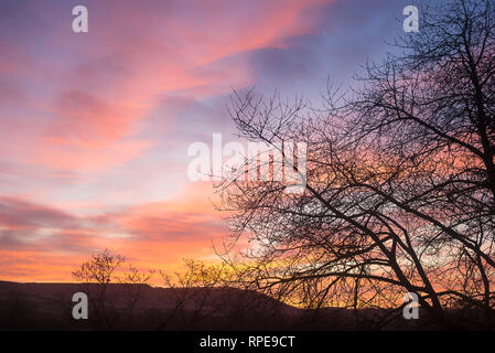 Tôt le matin, aube du ciel coloré sur Devizes et North Wessex Downs dans le Wiltshire England UK en février Banque D'Images