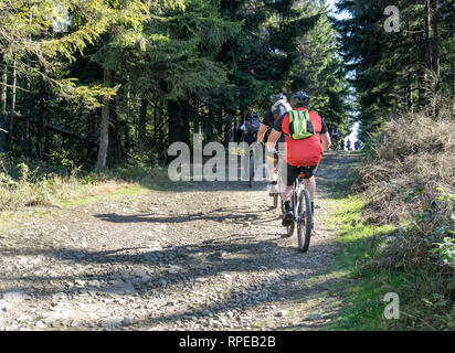 Groupe de touristes à vélo sur une route de gravier dans les montagnes. Automne ensoleillé ou journée d'été. Banque D'Images