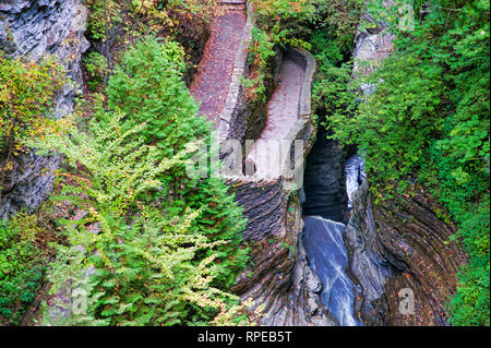 Sentier de la gorge, Taughannock Falls State Park, région des lacs Finger, l'État de New York Banque D'Images