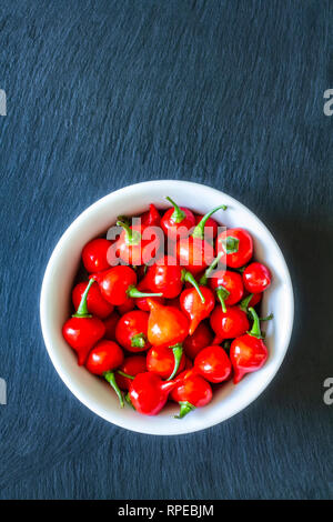 Piments rouges biquinho (Capsicum chinense) dans un bol blanc. Banque D'Images