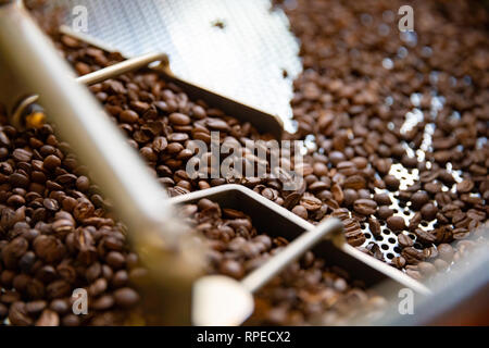 Close-up de matières premières dans les grains de café torréfacteur Machine Banque D'Images