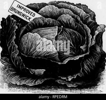 . Comment faire payer le jardin [microforme]. Le Jardinage. p lii|8^' , - - "-^^ ? ?.', ^^- v '. ? ; ? - ^^ ^- ?i ; ; : ? ? ? ?." -, ? ?- ? '^ ^ ^ ?- ;- ? ? ?'' ?  ? J66-comment faire le jardin de rémunération. les racines sont montrant à l'extérieur, et suspendu dans un endroit commode à la cave. Les agriculteurs pourraient appliquer une charge de choux dans un coin de la grange, sur le plancher, hay-mow, etc., et de les garder légèrement recouvertes de paille en vrac, et donc de les avoir prêt à l'emploi à tout moment au cours de l'hiver qu'ils désirent. Le caveau est également un bon endroit pour stocker les choux. Variétés. De ces nous avons un nombre sans fin, Banque D'Images