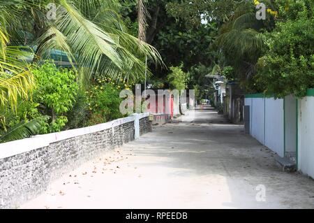 Une rue avec des bâtiments typiques des Maldives et des palmiers (Ari Atoll, Maldives) Banque D'Images