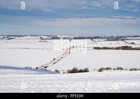 Paysage d'hiver enneigé de Hackpen Hill dans la campagne du Wiltshire. Hackpen Hill, vaste Hinton, Wiltshire, Angleterre. Banque D'Images