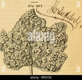 . L'entomologiste américain. L'entomologie. VOL. 2 ST. LOUIS, MO., décembre 1870. N° 12. ^nlnmobgkal gfparlmmt. CHARLES C. RILEY, éditeur, pièce 29, Ineurance Lotiia St, bâtiment, la larme à l'entracte du VE. N'ont été très heureux dans les nombreuses lettres gratulatoiy qui sont venus à part depuis notre dernier numéro a été envoyé. Grand regret est exprimé, et quelques-uns de nos abonnés sous- exprimer la crainte que la publication de notre journal ne sera jamais repris. En effet, certains de nos contemporains ont même apnounced que le "American Entomologist et Botan- ist a été d'interrompre Banque D'Images