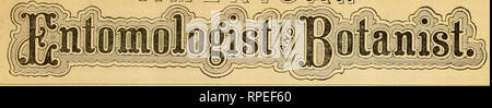 . L'entomologiste américain. L'entomologie. A L'UE Em !l^ANj. VOL. 2 ST. LOUIS, MO., décembre 1870. N° 12. ^nlnmobgkal gfparlmmt. CHARLES C. RILEY, éditeur, pièce 29, Ineurance Lotiia St, bâtiment, la larme à l'entracte du VE. N'ont été très heureux dans les nombreuses lettres gratulatoiy qui sont venus à part depuis notre dernier numéro a été envoyé. Grand regret est exprimé, et quelques-uns de nos abonnés sous- exprimer la crainte que la publication de notre journal ne sera jamais repris. En effet, certains de nos contemporains ont même apnounced que le "American Entomologist et Botan- ist Banque D'Images