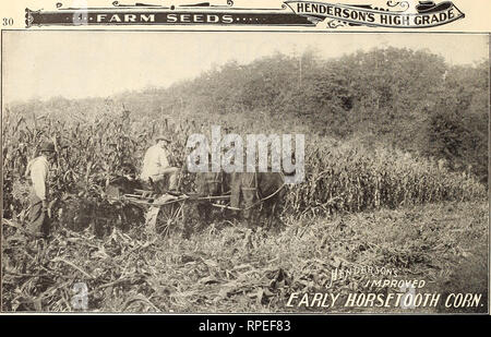 . Des agriculteurs américains manuel. Les graines de légumes fermes ; catalogues ; Catalogues Catalogues de semences de graminées. . Veuillez noter que ces images sont extraites de la page numérisée des images qui peuvent avoir été retouchées numériquement pour plus de lisibilité - coloration et l'aspect de ces illustrations ne peut pas parfaitement ressembler à l'œuvre originale.. Peter Henderson &AMP ; Co ; Henry G. Gilbert Pépinière et du commerce de semences Catalogue Collection. New York : Peter Henderson &AMP ; Co. Banque D'Images