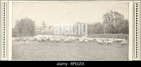 . Des agriculteurs américains manuel. Les graines de légumes fermes ; catalogues ; Catalogues Catalogues de semences de graminées. ^ HENDERSON'S Rénovation de mélange. Veuillez noter que ces images sont extraites de la page numérisée des images qui peuvent avoir été retouchées numériquement pour plus de lisibilité - coloration et l'aspect de ces illustrations ne peut pas parfaitement ressembler à l'œuvre originale.. Peter Henderson &AMP ; Co ; Henry G. Gilbert Pépinière et du commerce de semences Catalogue Collection. New York : Peter Henderson &AMP ; Co. Banque D'Images