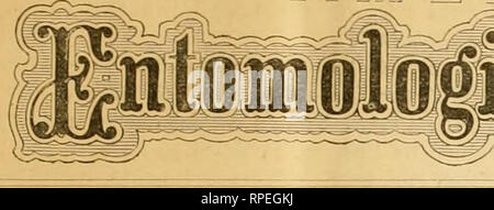 . L'entomologiste américain. L'entomologie. E E A M E R I C O S logisU^J^*^^^^^ VOL. 2. ST. LOUIS, MO., Mai, 1870. N° 7. Département d'entomologie. CHARLES C. RILET, éditeur, 221 N. Main St., SI. Louis, Mo. Le GORDIUS. Ou d'un sèche-VER. PROt'ESSOR JOSEPH LEIDY, PUlLADELFHr [Fig 11'. Veuillez noter que ces images sont extraites de la page numérisée des images qui peuvent avoir été retouchées numériquement pour plus de lisibilité - coloration et l'aspect de ces illustrations ne peut pas parfaitement ressembler à l'œuvre originale.. Metcalf Collection (North Carolina State University). Dnd. New York : Max Jaegerhuber Banque D'Images