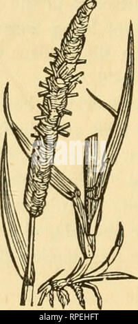 Timothée Riche . L'agriculteur américain's hand-book ... L'agriculture. 152 farmer's ...