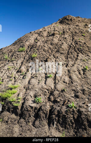 Monticule de sable après une forte pluie dans un bac à sable commercial. Banque D'Images