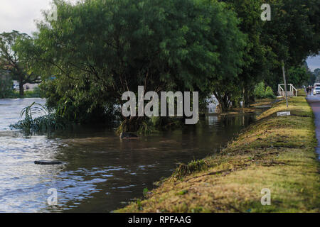 PR - Curitiba - 02/21/2019 - Heavy Rain Heavy Rain à Curitiba - déborde du Bel m River à Curitiba provoquant des troubles dans la région. Photo : Gabriel Machado / AGIF Banque D'Images