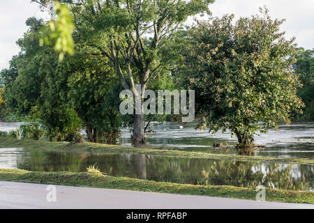 PR - Curitiba - 02/21/2019 - Heavy Rain Heavy Rain à Curitiba - déborde du Bel m River à Curitiba provoquant des troubles dans la région. Photo : Gabriel Machado / AGIF Banque D'Images