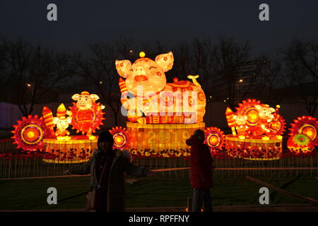 Beijing, Beijing, Chine. Feb 22, 2019. Beijing, Chine-une lanterne foire est tenue au parc d'Attractions Shijingshan à Pékin, en Chine. Crédit : SIPA Asie/ZUMA/Alamy Fil Live News Banque D'Images