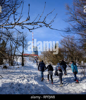 18 février 2019 : Brotterode/Grosser Inselsberg : les randonneurs à pied de Brotterode venant vers le sommet de la Grande Inselsberg. Photo : Thomas Eisenhuth | conditions dans le monde entier Banque D'Images