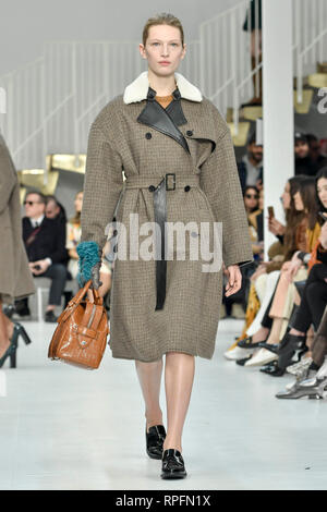 Milan, Italie. 22 févr. 2019. Milan, Italie. Feb 22, 2019. 2020. Tod's Fashion Show de la photo : Crédit photo : modèle indépendant Agence/Alamy Live News Crédit : Agence Photo indépendant Srl/Alamy Live News Banque D'Images