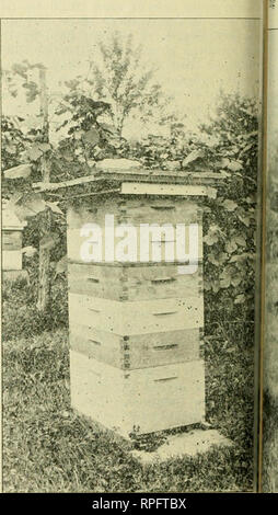 . L'American bee keeper. La culture de l'abeille ; le miel. 154 L'apiculteur américain. t, août. Un autre homme en qui nous avons tous foi implicite et qui est absolument fiable, et si tous les apiculteurs étaient honnêtes, il serait fait pour travailler. Je ne m'attends pas à voir la documentation- ize. Quant à ce que le miel devrait soulever la bee-keeper, en d'autres termes, ce qu'il devrait le vendre à. Nous ne serons pas en mesure de régler. La valeur de marché du miel est un très aléatoire quantité, en fonction de la quantité produite et le pouvoir d'achat du pub- lic. Pos-éventuellement à d'autres facteurs peuvent entrer en pour examen. M. Ro Banque D'Images