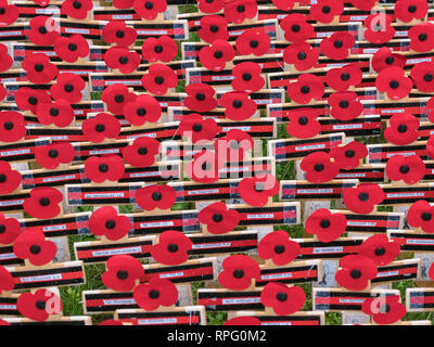 De nombreuses croix et d'autres hommages sur le champ du souvenir de l'abbaye de Westminster, London, UK dans la mémoire de ceux tombés lors des deux guerres mondiales. Banque D'Images