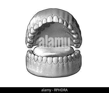 Gomme les dents avec gravure illustration couleur monochrome isolé sur fond blanc Banque D'Images