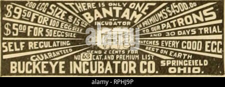 . American Bee Journal. La culture de l'abeille ; les abeilles. Incubateur monogrammes. Norme mondes Hatcher, reed sur-C.tiov. Dans stulinns Kxpti inifiit-U- s.. Canftda, l'Australie et la Nouvelle-Zélande ; aussi en Amérique du poultrj tliousands-hommes et des autres. Médaille d'or et récompense la plus haute à Pan-American, oct. outil. Si pages libre circulaire. Catalogue complet, ISO pages. Dans UxJl., postés pour 10c Aflk livre nearestofficefor No .'-o CYPHEliS J&gt ;"HIBATR COMPA&gt;T, Bmalo, 5. Y., ttieaso, "l-, Boston, Mtuis., &gt;t" "ork, H. I. Ple ? =ie mentionner Bee Journal lorsqu ?mritlns gratuitement pendant un mois .... Si yon s'intéressent Banque D'Images