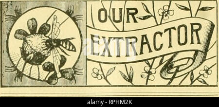 . L'American bee keeper. La culture de l'abeille ; le miel. TEE 72 AMERICAN APICULTEUR. Mars. (D'American Bee Journal). La préparation et le déménagement d'abeilles en mars. Par C. P. DADANT. Question.-" Je dois passer à la première de mars. Mes abeilles souffrent d'être emballés et transportés à l'époque ? Et aurais-je mieux couvrir les reprendre ?-W. S." Ans.-Il est difficile de répondre à une telle question par oui ou non. La sécurité du transport des abeilles à ce moment dépend considérablement de leur condi- tion. Après un hiver comme le présent, alors qu'ils ont eu la chance de prendre un vol tous les quelques jours, il y a beaucoup moins de Banque D'Images