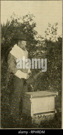. L'American bee keeper. La culture de l'abeille ; le miel. 1907. L'apiculteur américain. 139 de Saint-domingue. bas seulement un certain pourcentage de " , .^^ • TVT o 1 du glucose, car cette substance est l'un de Sabana de La Mar, Santo Domingo, le chef d'adultérants qu'est le maïs - 8 mars 1907. monly utilisé. Alors que l'île du miel américain Bee-Keeper Editeur : est pur et juste aussi sains que Permettez-moi de remercier l'Américain qui a produit dans une partie de l'Bee-Keeper et Dr Blanton pour leur ^^°'"^^» ^^est relativement grand de bons conseils, qui est arrivé trop tard, que la quantité de glucose présente dans le mal que j'avais perdu toutes mes abeilles Banque D'Images