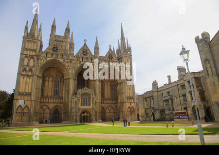 La Cathédrale de Peterborough, à Peterborough, Cambridgeshire, Angleterre Banque D'Images