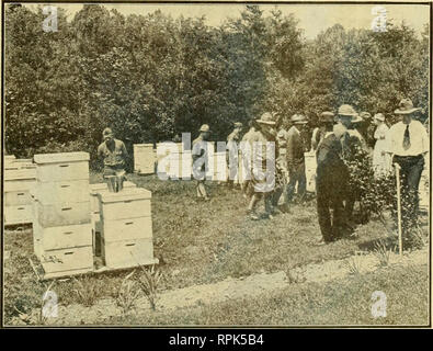 . American Bee Journal. La culture de l'abeille ; les abeilles. Fig. 4. Dans un nid de mitrailleuse. Au Capl e dans les camions et les automobiles fur- ni par la Croix Rouge et étaient sous la direction de la recon- struction Division de l'armée. À leur arrivée, ils ont été donnés un dem- onstration dans la manipulation des abeilles, avec une discussion sur l'histoire de la vie de la colonie et un bref exposé sur ce qu'il n'est que l'apiculteur doit faire. Au début, ils ont eu à gérer les trames à partir de laquelle les vieilles abeilles avait été retiré, de sorte qu'il n'y aurait pas de victimes. Quelques-uns des hommes qui avaient été à travers les attaques de gaz et feu de barrage trop Banque D'Images