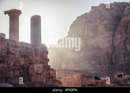 Ruines du Grand Temple de Pétra ville historique de royaume nabatéen en Jordanie Banque D'Images