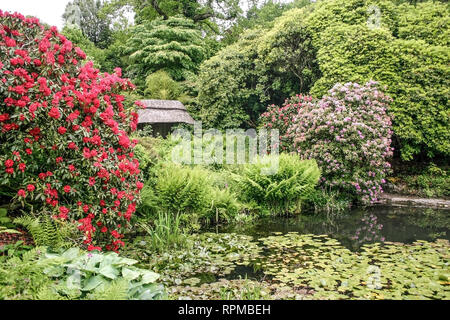 Lieu de repos de chaume par la piscine dans le parc de Cotehele House, Tamar Valley, Cornwall Banque D'Images