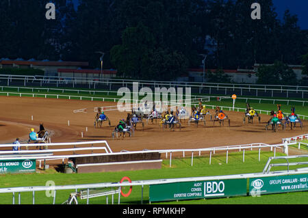 Les courses de nuit à Cagnes sur Mer hippodrome (Azur) Banque D'Images