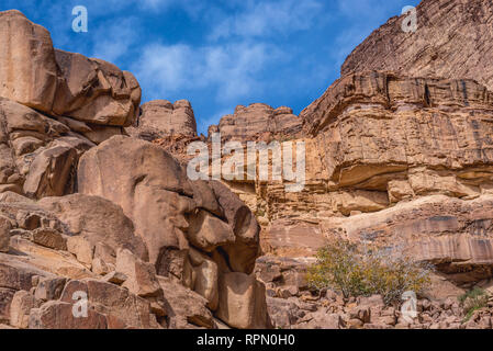 Rochers autour de Lawrence au printemps dans la vallée de Wadi Rum ou Vallée de la Lune en Jordanie Banque D'Images