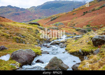 Flux depuis Blea tarn circulant dans peu dans le Langdale Lake District national parl,Cumbria, Angleterre Banque D'Images